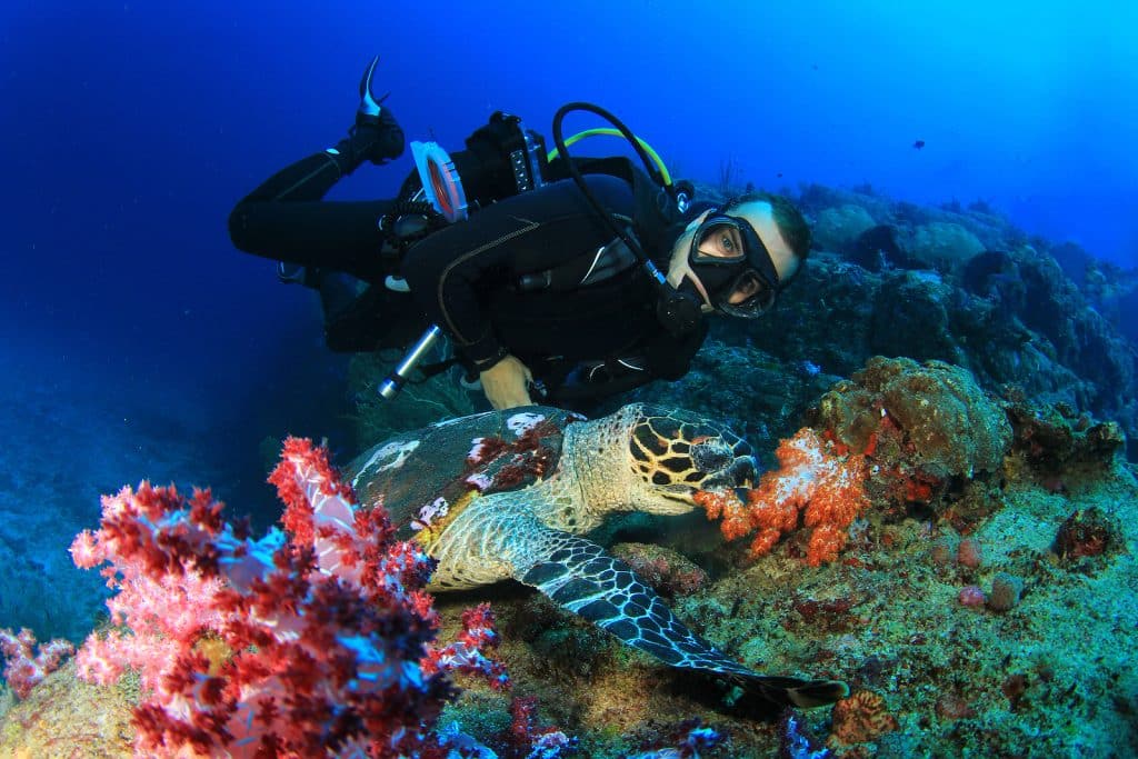 Kovay Gardens Adventures Explains SCUBA Diving In Nayarit