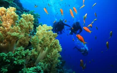 Kovay Gardens Adventures Explains SCUBA Diving In Nayarit