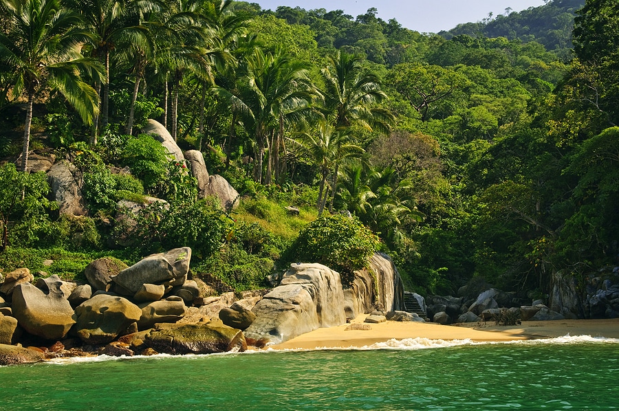 Kovay Gardens Adventures- Mismaloya, Mexico Is a Beloved Destination